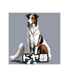 気まぐれボルゾイ40表情パック（個別スタンプ：14）