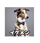 気まぐれボルゾイ40表情パック（個別スタンプ：17）