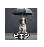 気まぐれボルゾイ40表情パック（個別スタンプ：24）
