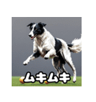 気まぐれボルゾイ40表情パック（個別スタンプ：29）