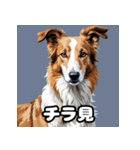 気まぐれボルゾイ40表情パック（個別スタンプ：30）