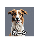 気まぐれボルゾイ40表情パック（個別スタンプ：35）