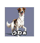 気まぐれボルゾイ40表情パック（個別スタンプ：36）