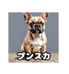表情豊かなフレンチブルドッグスタンプ（個別スタンプ：8）