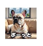 表情豊かなフレンチブルドッグスタンプ（個別スタンプ：12）