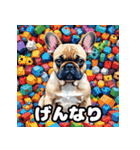 表情豊かなフレンチブルドッグスタンプ（個別スタンプ：21）
