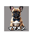 表情豊かなフレンチブルドッグスタンプ（個別スタンプ：22）