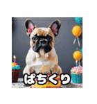 表情豊かなフレンチブルドッグスタンプ（個別スタンプ：24）