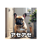 表情豊かなフレンチブルドッグスタンプ（個別スタンプ：26）