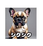 表情豊かなフレンチブルドッグスタンプ（個別スタンプ：34）