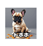 表情豊かなフレンチブルドッグスタンプ（個別スタンプ：36）