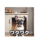 表情豊かなフレンチブルドッグスタンプ（個別スタンプ：38）