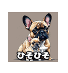表情豊かなフレンチブルドッグスタンプ（個別スタンプ：39）