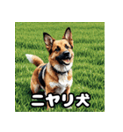 犬のシェパード表情スタンプ（個別スタンプ：1）