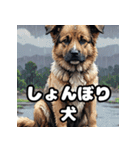 犬のシェパード表情スタンプ（個別スタンプ：3）