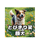 犬のシェパード表情スタンプ（個別スタンプ：6）