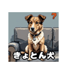 犬のシェパード表情スタンプ（個別スタンプ：8）