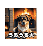 犬のシェパード表情スタンプ（個別スタンプ：10）