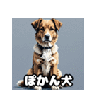 犬のシェパード表情スタンプ（個別スタンプ：22）