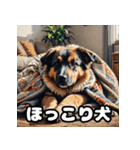 犬のシェパード表情スタンプ（個別スタンプ：23）