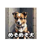 犬のシェパード表情スタンプ（個別スタンプ：31）
