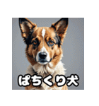 犬のシェパード表情スタンプ（個別スタンプ：33）