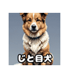 犬のシェパード表情スタンプ（個別スタンプ：35）