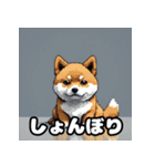 表情いろいろ柴犬スタンプ40（個別スタンプ：3）