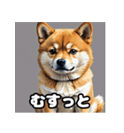 表情いろいろ柴犬スタンプ40（個別スタンプ：4）
