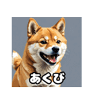 表情いろいろ柴犬スタンプ40（個別スタンプ：5）