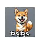 表情いろいろ柴犬スタンプ40（個別スタンプ：6）