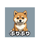 表情いろいろ柴犬スタンプ40（個別スタンプ：7）