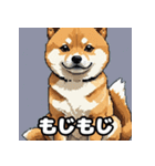 表情いろいろ柴犬スタンプ40（個別スタンプ：8）