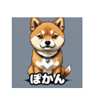 表情いろいろ柴犬スタンプ40（個別スタンプ：14）
