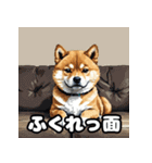 表情いろいろ柴犬スタンプ40（個別スタンプ：16）