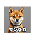 表情いろいろ柴犬スタンプ40（個別スタンプ：20）