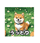 表情いろいろ柴犬スタンプ40（個別スタンプ：21）