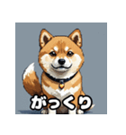 表情いろいろ柴犬スタンプ40（個別スタンプ：29）