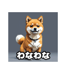 表情いろいろ柴犬スタンプ40（個別スタンプ：30）