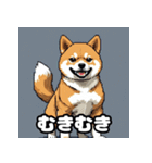 表情いろいろ柴犬スタンプ40（個別スタンプ：32）