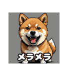 表情いろいろ柴犬スタンプ40（個別スタンプ：33）