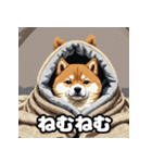 表情いろいろ柴犬スタンプ40（個別スタンプ：34）