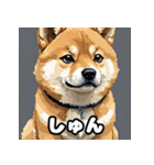 表情いろいろ柴犬スタンプ40（個別スタンプ：37）