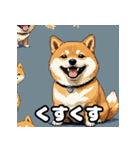 表情いろいろ柴犬スタンプ40（個別スタンプ：39）