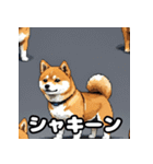 表情いろいろ柴犬スタンプ40（個別スタンプ：40）