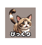 40表情マンチカン大集合！（個別スタンプ：2）