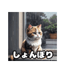 40表情マンチカン大集合！（個別スタンプ：3）
