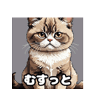40表情マンチカン大集合！（個別スタンプ：5）
