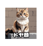 40表情マンチカン大集合！（個別スタンプ：8）