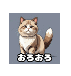 40表情マンチカン大集合！（個別スタンプ：13）